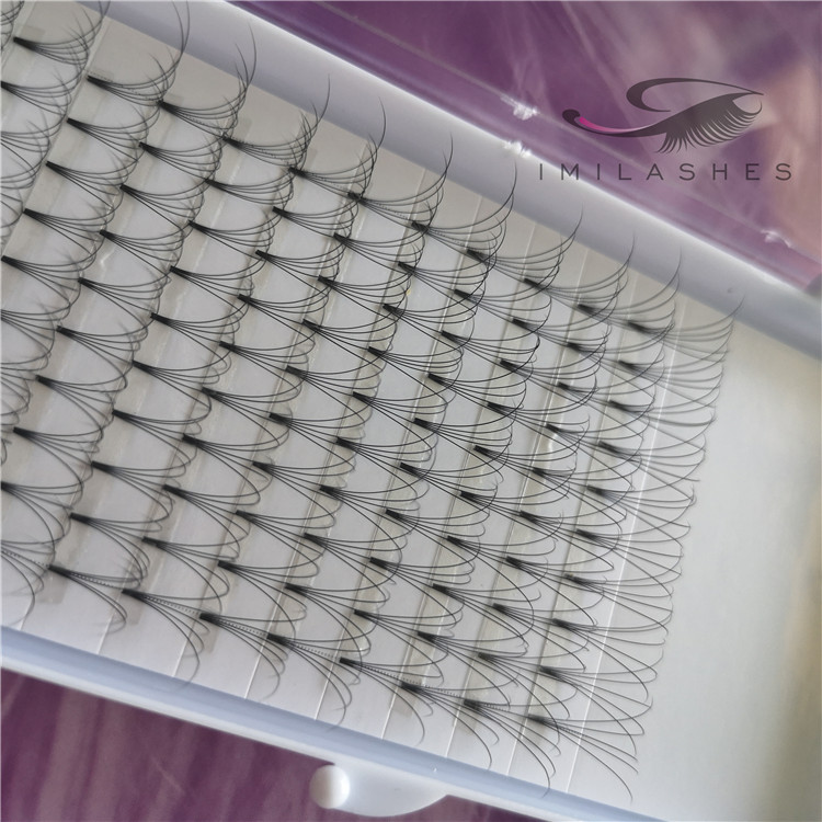 10d eyelash extensions.jpg